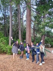Thrive women retreat 24 trees
