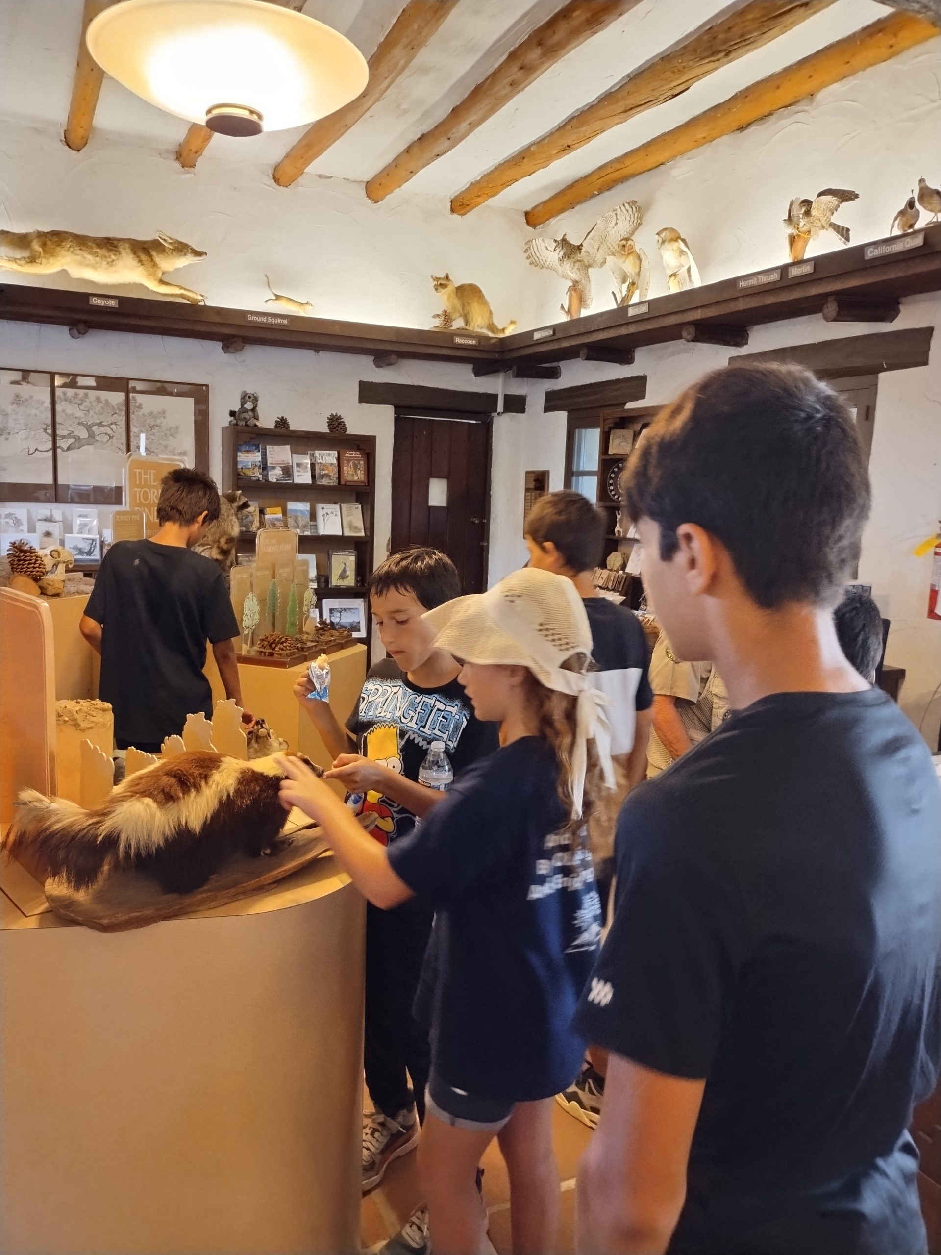 Kids museum 25